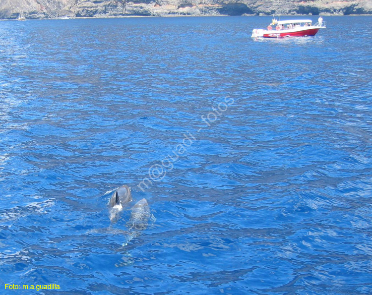LOS GIGANTES (146) En barco 2007