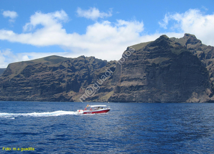 LOS GIGANTES (148) En barco 2007
