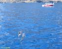 LOS GIGANTES (146) En barco 2007
