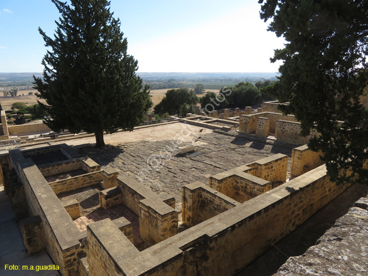 MEDINA AZAHARA (102)
