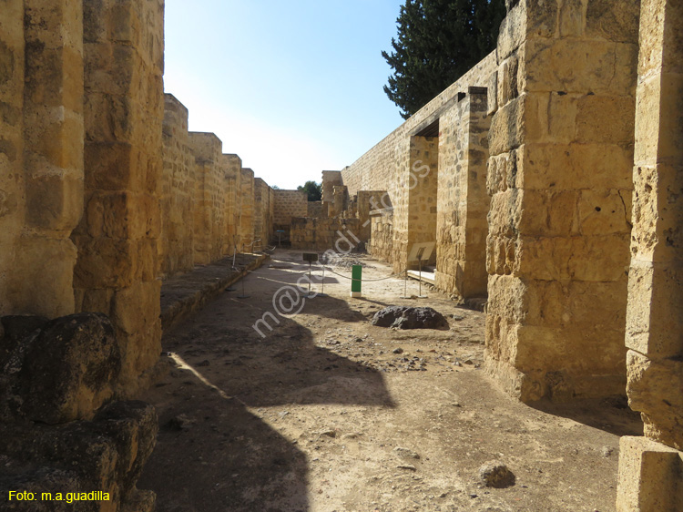 MEDINA AZAHARA (105)