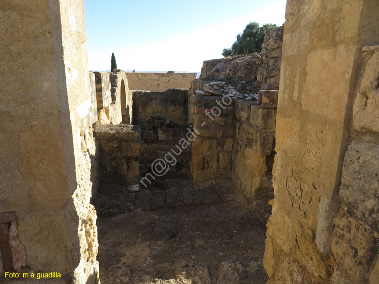 MEDINA AZAHARA (135)