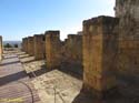 MEDINA AZAHARA (106)