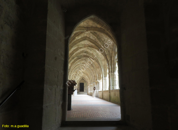 MONASTERIO DE IRANZU (109)