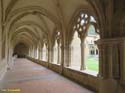 MONASTERIO DE IRANZU (133)