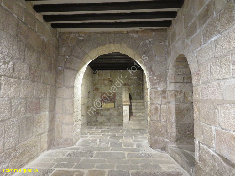 MONASTERIO DE LEYRE (106)
