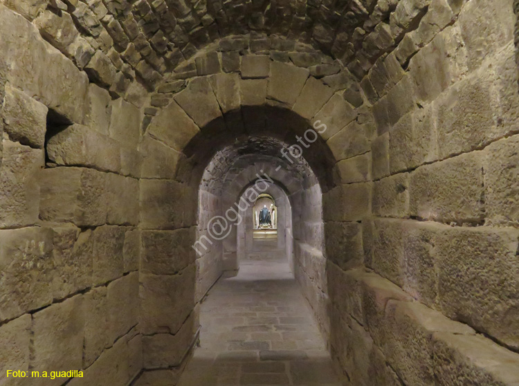 MONASTERIO DE LEYRE (107)