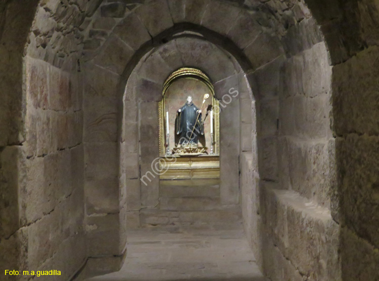 MONASTERIO DE LEYRE (108)