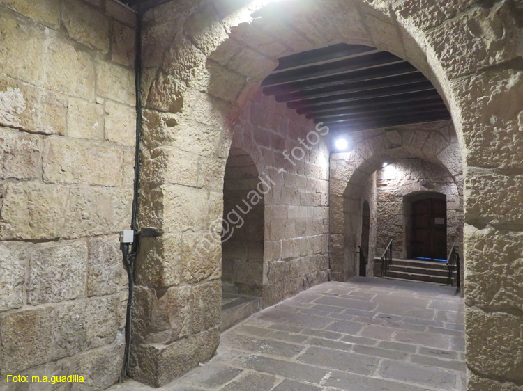 MONASTERIO DE LEYRE (109)