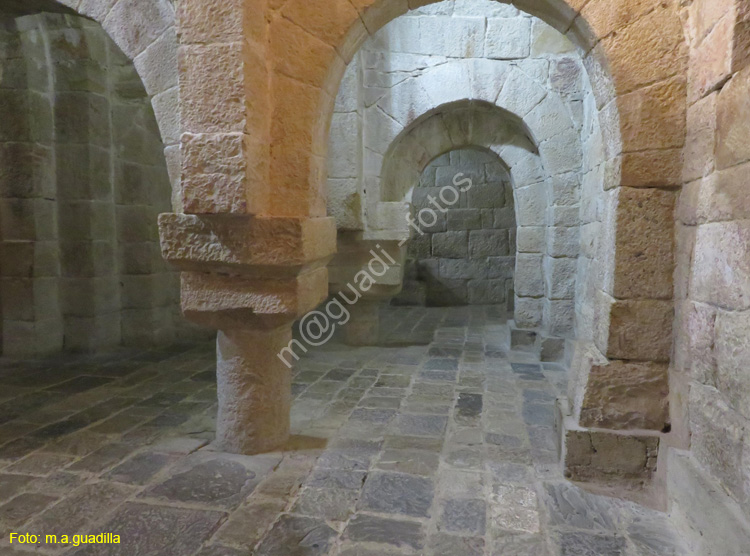 MONASTERIO DE LEYRE (111)