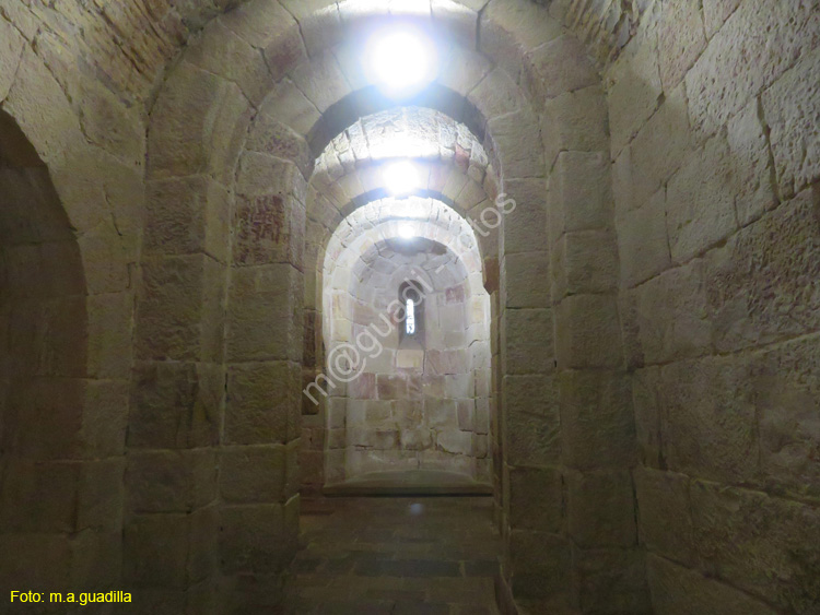 MONASTERIO DE LEYRE (112)