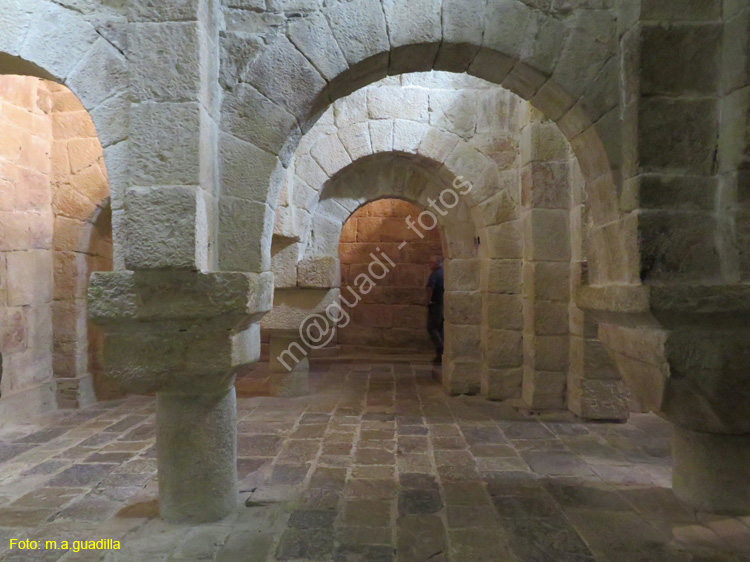 MONASTERIO DE LEYRE (113)