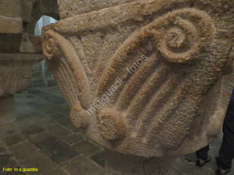 MONASTERIO DE LEYRE (118)
