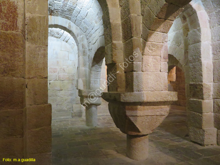 MONASTERIO DE LEYRE (120)