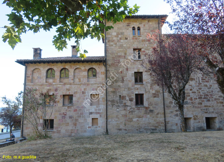 MONASTERIO DE LEYRE (126)