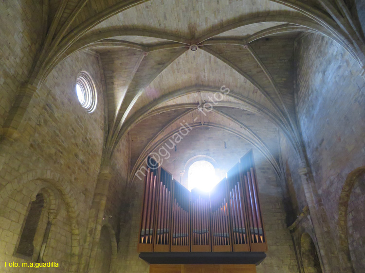 MONASTERIO DE LEYRE (136)