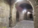 MONASTERIO DE LEYRE (109)