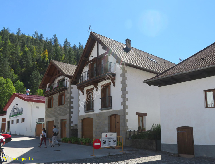 OCHAGAVIA (101)