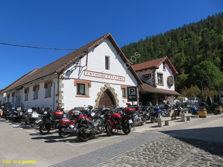 OCHAGAVIA (102)