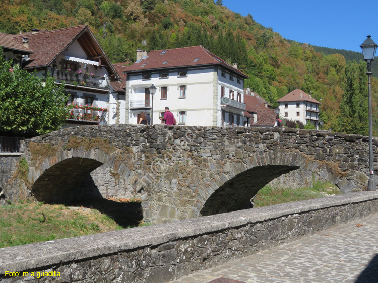 OCHAGAVIA (105)