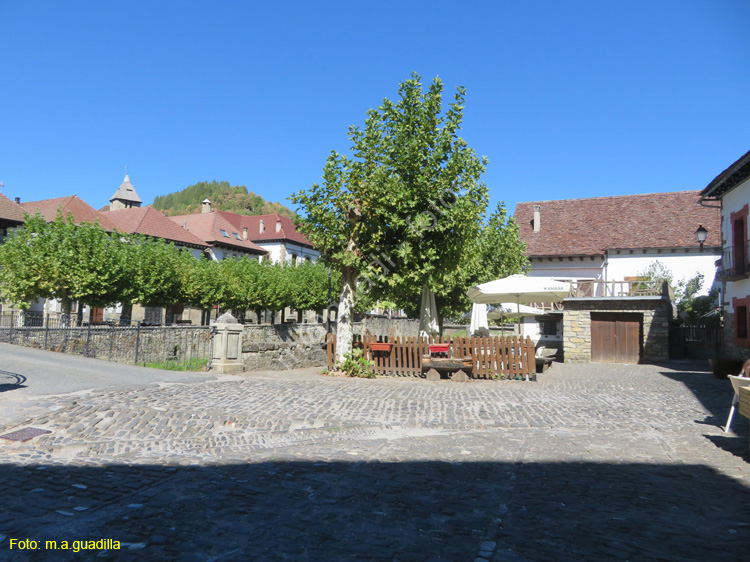 OCHAGAVIA (106)