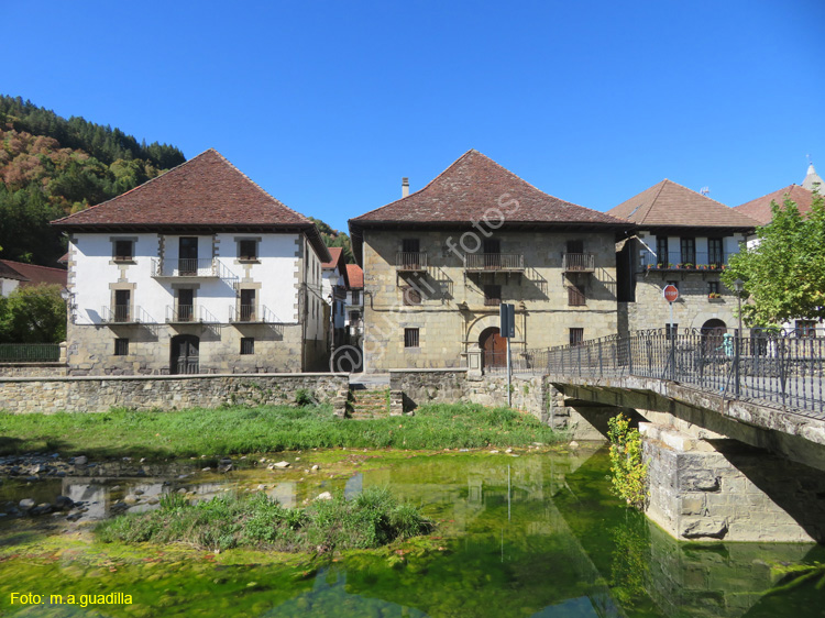 OCHAGAVIA (107)