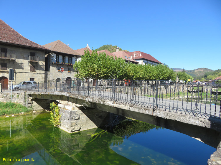 OCHAGAVIA (108)