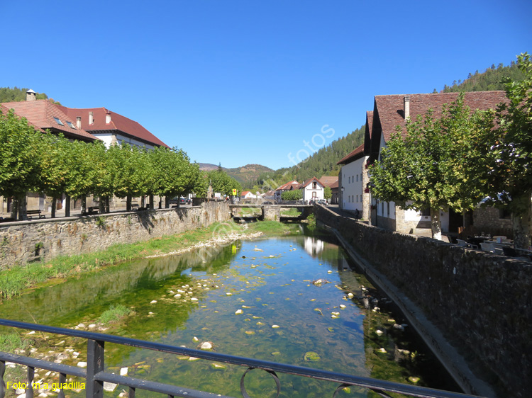 OCHAGAVIA (109)