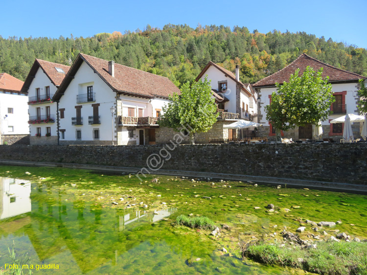 OCHAGAVIA (111)