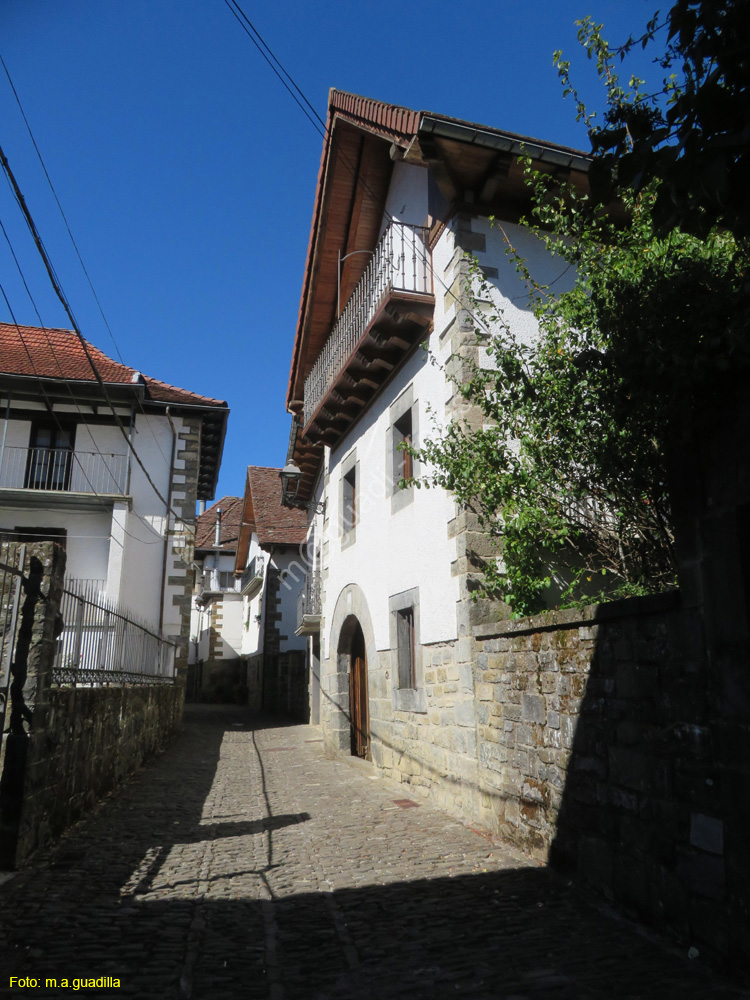 OCHAGAVIA (113)