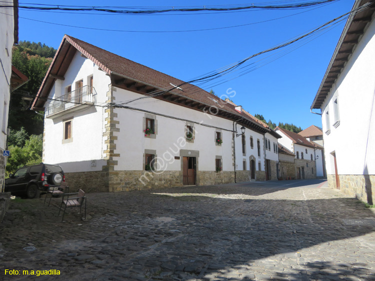 OCHAGAVIA (115)