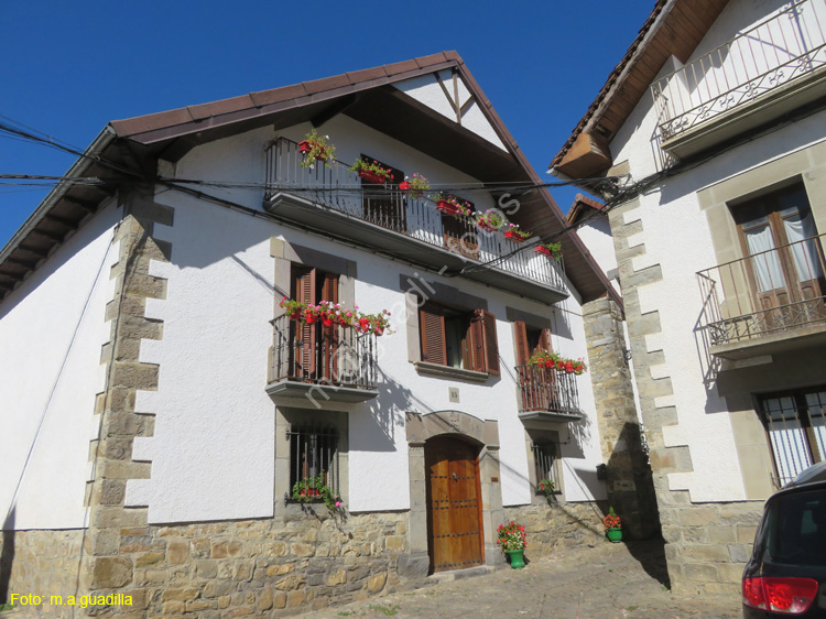 OCHAGAVIA (116)