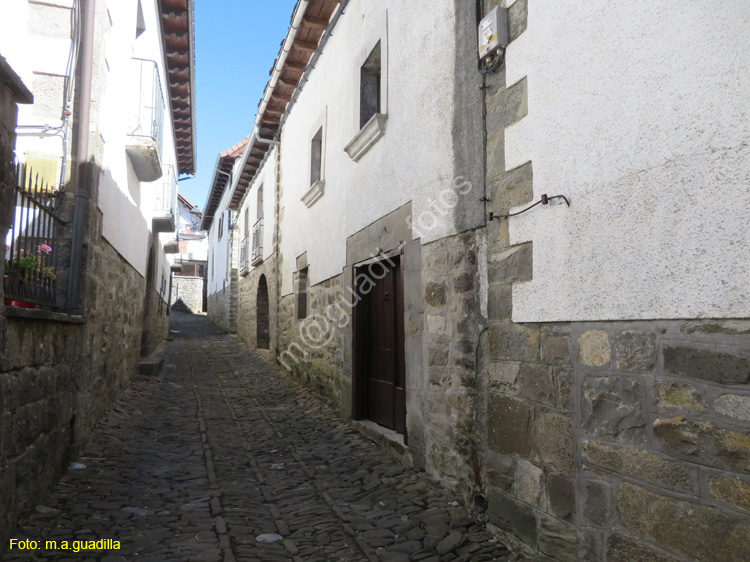 OCHAGAVIA (117)