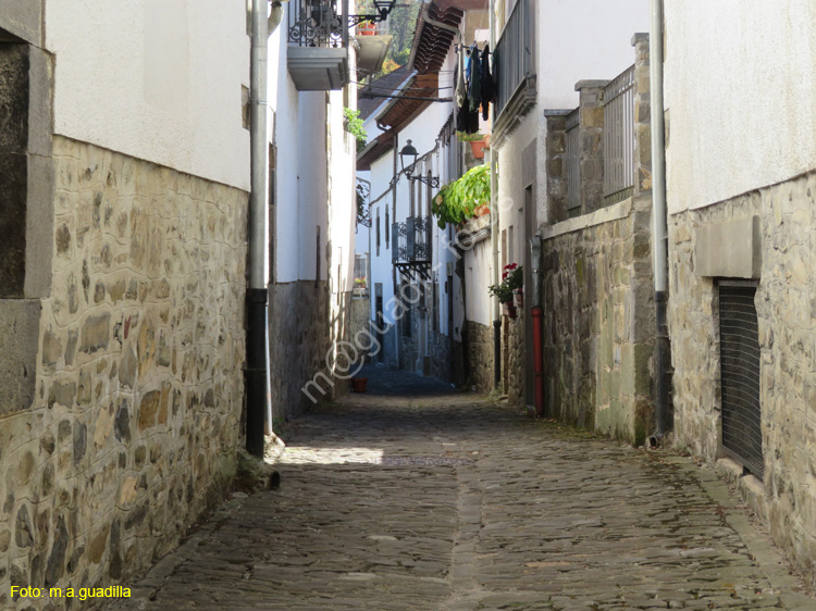 OCHAGAVIA (118)