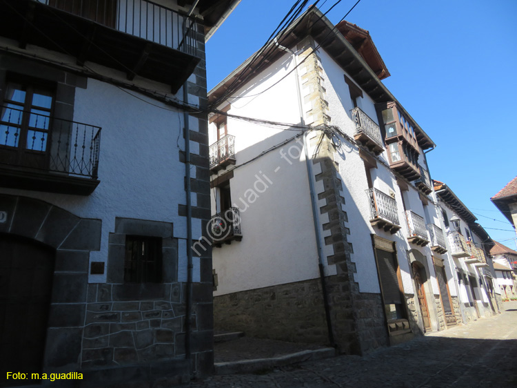 OCHAGAVIA (122)