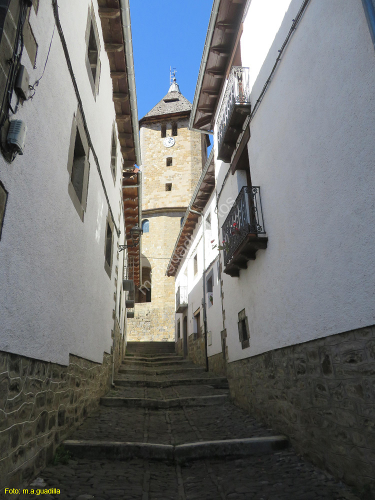 OCHAGAVIA (126)