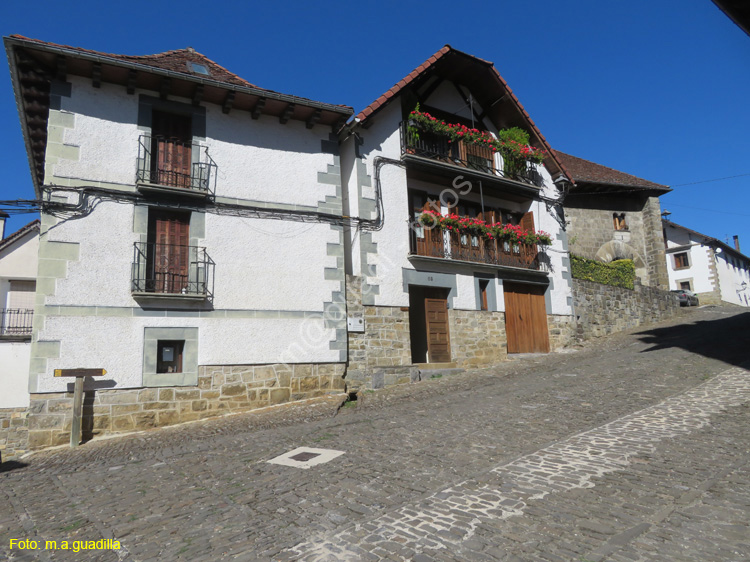 OCHAGAVIA (142)