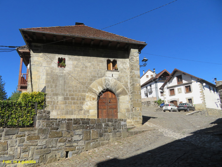 OCHAGAVIA (143)