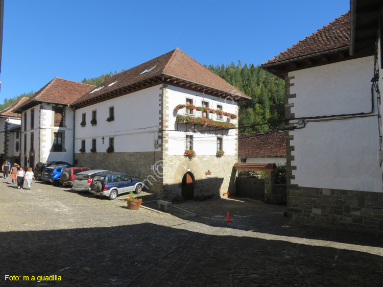 OCHAGAVIA (144)