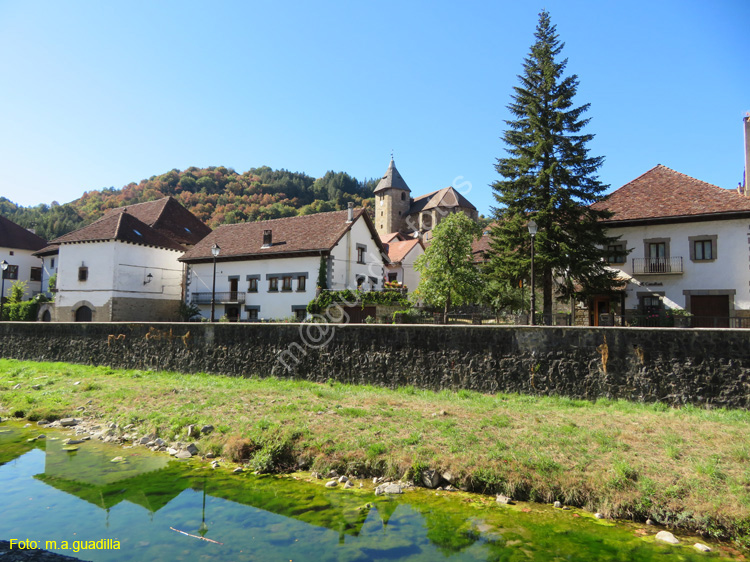 OCHAGAVIA (150)