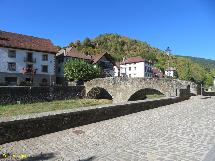 OCHAGAVIA (152)