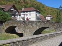 OCHAGAVIA (105)