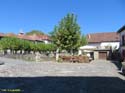 OCHAGAVIA (106)
