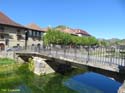 OCHAGAVIA (108)