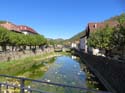 OCHAGAVIA (109)