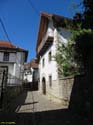 OCHAGAVIA (113)