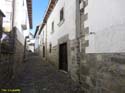 OCHAGAVIA (117)