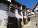 OCHAGAVIA (119)