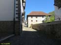 OCHAGAVIA (121)
