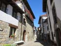 OCHAGAVIA (145)